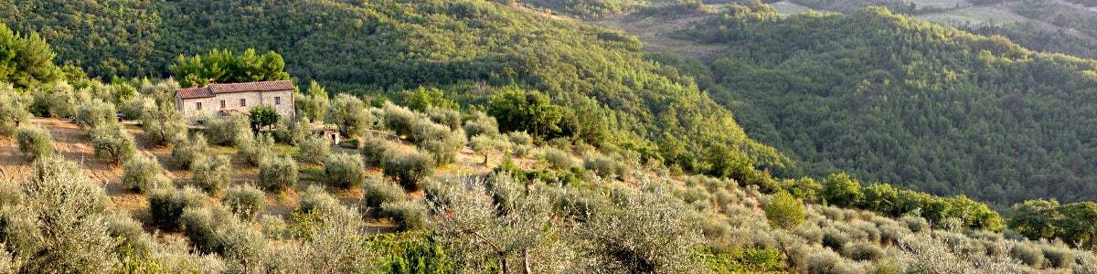 Uitzicht over de landbouwgrond van Bindozzino